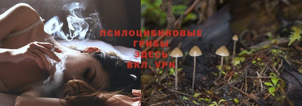 PSILOCYBIN Наволоки