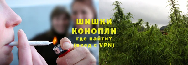 стафф Надым
