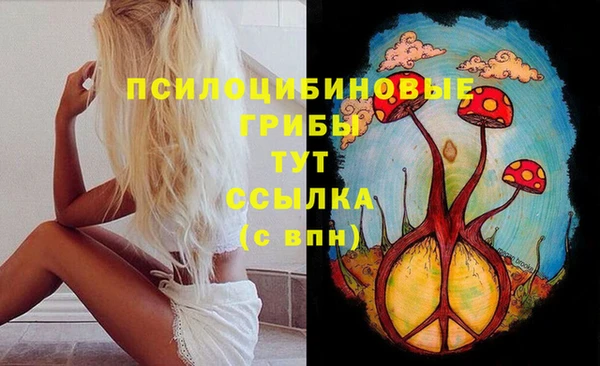 PSILOCYBIN Наволоки