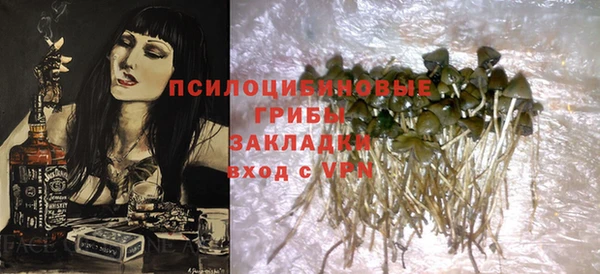 PSILOCYBIN Наволоки