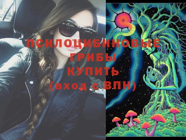 крисы Кулебаки