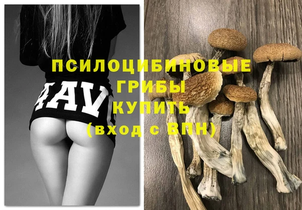 стафф Надым