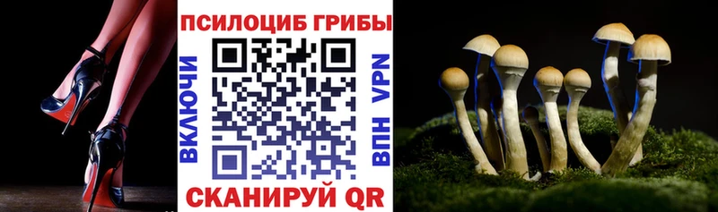 мега маркетплейс  как найти наркотики  Южно-Сухокумск  Псилоцибиновые грибы прущие грибы 